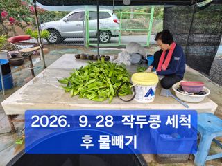 박성민님의 자유주제 · 자유게시판 작성글 사진