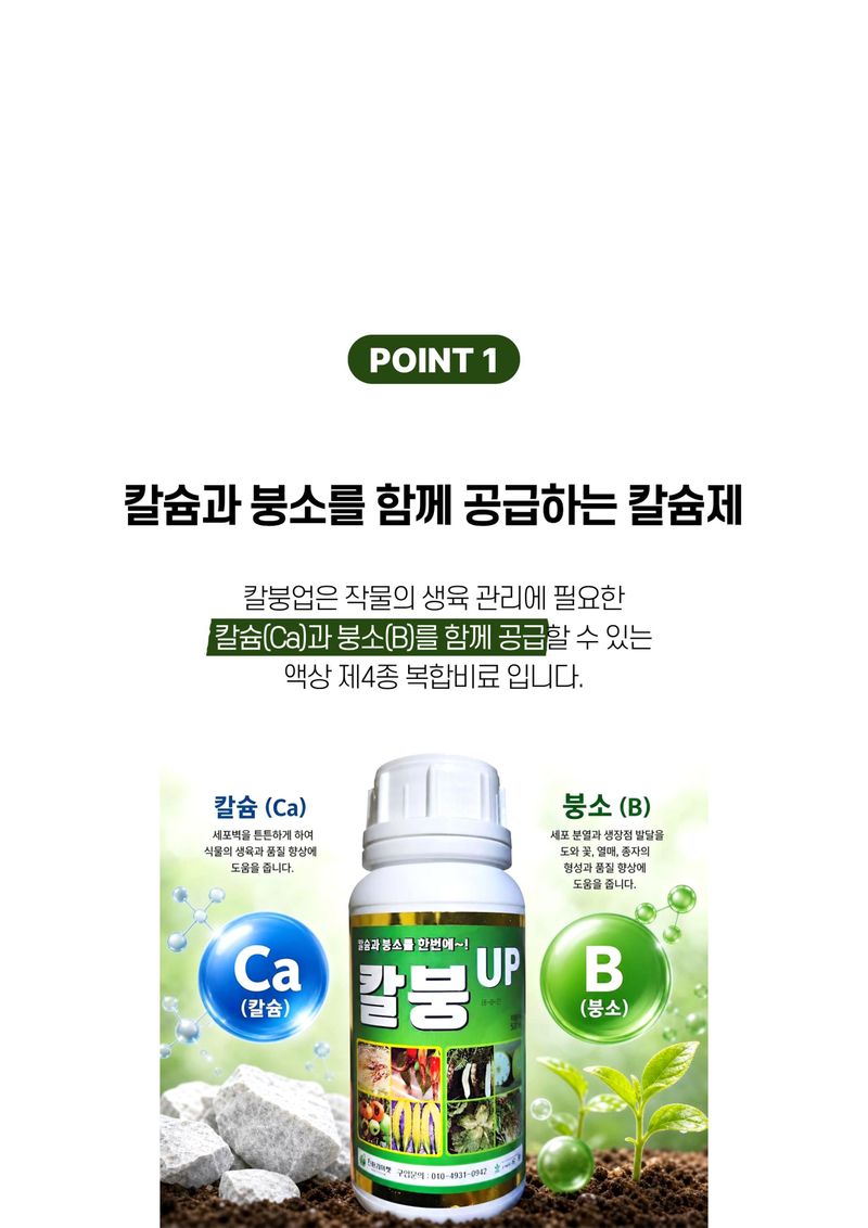 세종농자재센터님의 장터 판매 상품 [배추칼슘제 칼붕업500ml 김장 배추와 무에 꼭 필요한 칼슘 붕소 비료 ] 첨부 사진