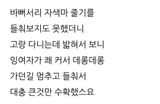 팜모닝 기타작물·자유게시판 게시글 이미지