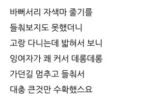 삼성농산님의 기타작물 · 자유게시판 작성글 사진