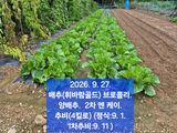 팜모닝 자유주제·자유게시판 게시글 이미지