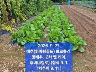 박성민님의 자유주제 · 자유게시판 작성글 사진