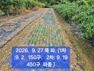 박성민님의 자유주제 · 자유게시판 작성글 사진