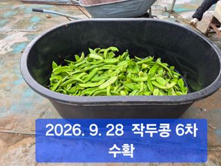 박성민님의 자유주제 · 자유게시판 작성글 사진
