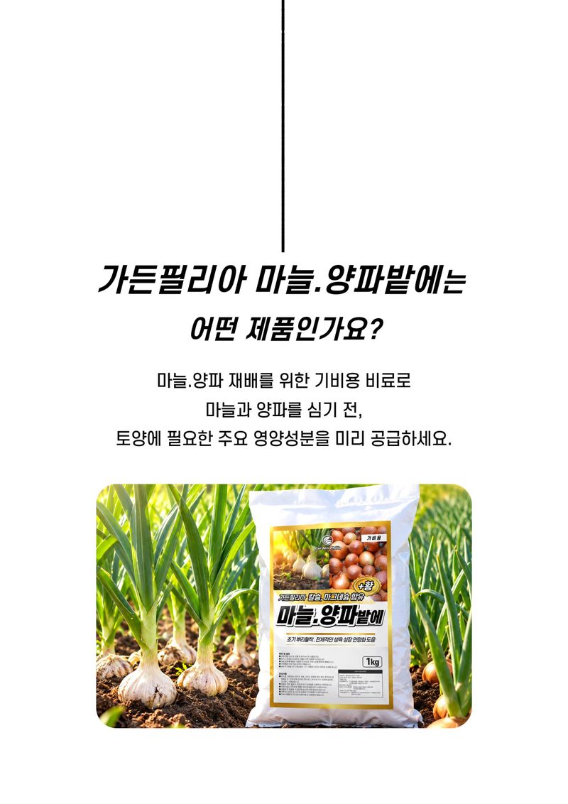 세종농자재센터님의 장터 판매 상품 [가든필리아 마늘양파밭에1kg 2봉 정식 전 밑비료 생육성장 황 칼슘 함유] 첨부 사진