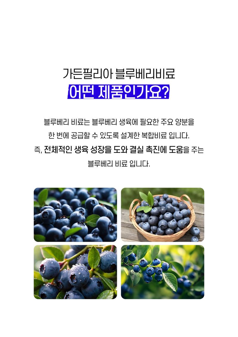 세종농자재센터님의 장터 판매 상품 [블루베리비료 2.5kg 블루베리 전용 3개월 완효성 코팅 알갱이비료] 첨부 사진