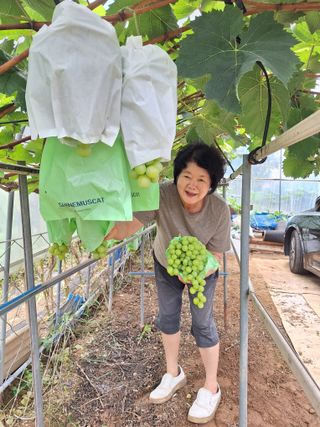 정도영님의 작성글 사진