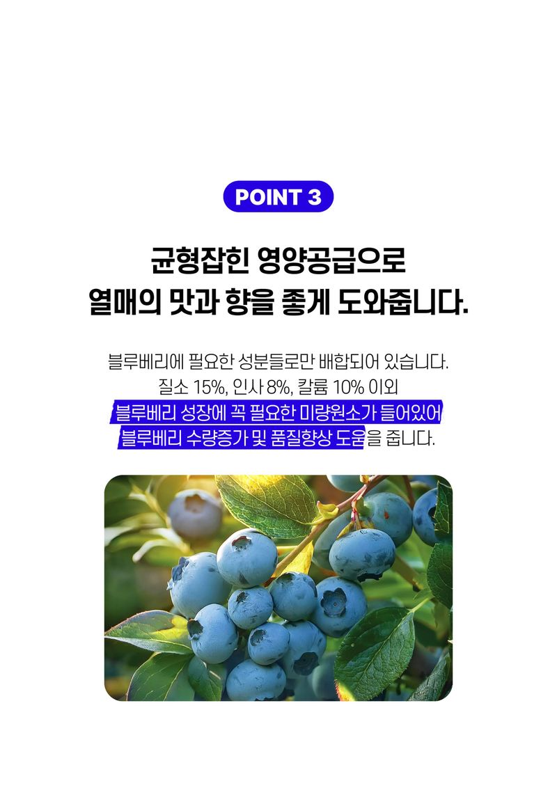세종농자재센터님의 장터 판매 상품 [가든필리아 블루베리 라즈베리 아로니아 3개월 완효성 코팅비료 생육 및 결실 촉진 비료 블루베리비료1kg] 첨부 사진