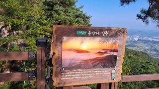 MSG0074님의 자유주제 · 자유게시판 작성글 사진