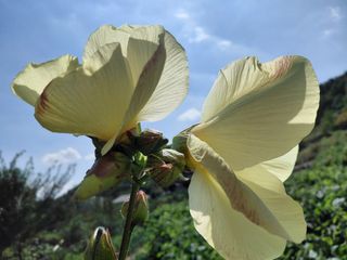 지수네농장님의 자유주제 · 자유게시판 작성글 사진