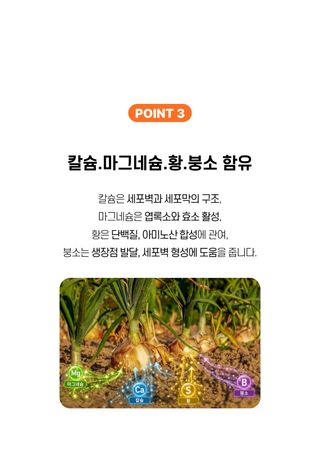 파머스케어님의 작성글 사진
