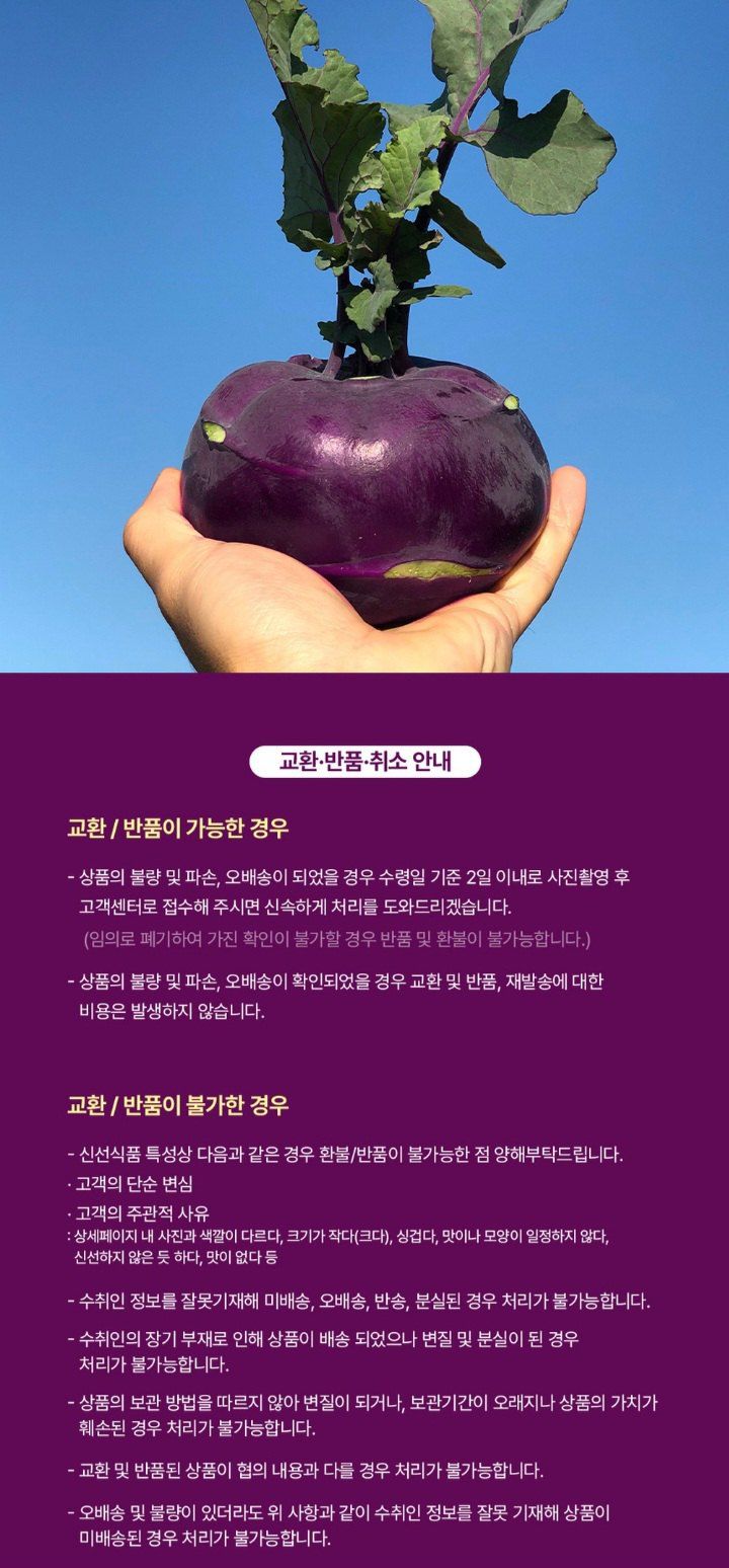 자두14488님의 장터 판매 상품 [제주도 콜라비 가정용 못난이 10kg] 첨부 사진