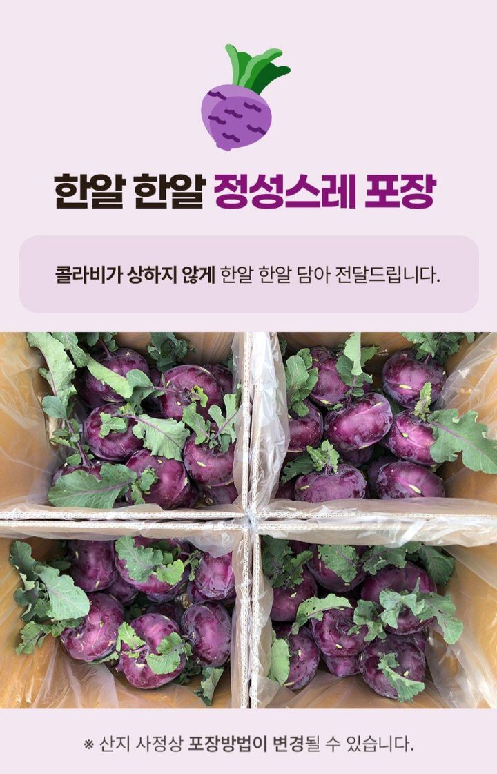 자두14488님의 장터 판매 상품 [제주도 콜라비 가정용 못난이 10kg] 첨부 사진