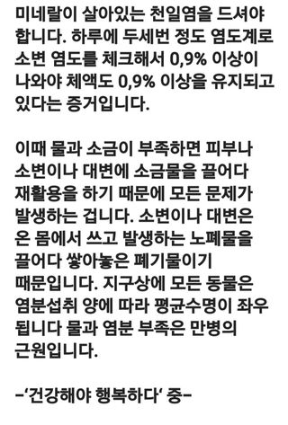 (팽나무*공주)님의 자유주제 · 자유게시판 작성글 사진