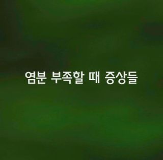 (팽나무*공주)님의 자유주제 · 자유게시판 작성글 사진