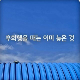 (팽나무*공주)님의 자유주제 · 자유게시판 작성글 사진