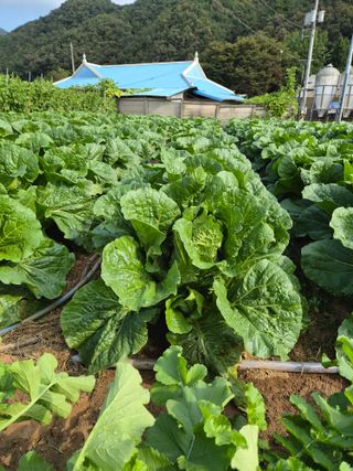 김영문님의 자유주제 · 자유게시판 작성글 사진