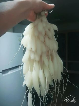 이창신님의 자유주제 · 자유게시판 작성글 사진