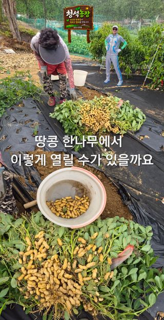 Kns4324님의 자유주제 · 자유게시판 작성글 사진