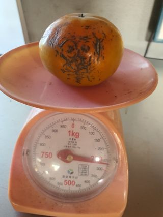 하나라도 소중하게님의 감 · 자유게시판 작성글 사진