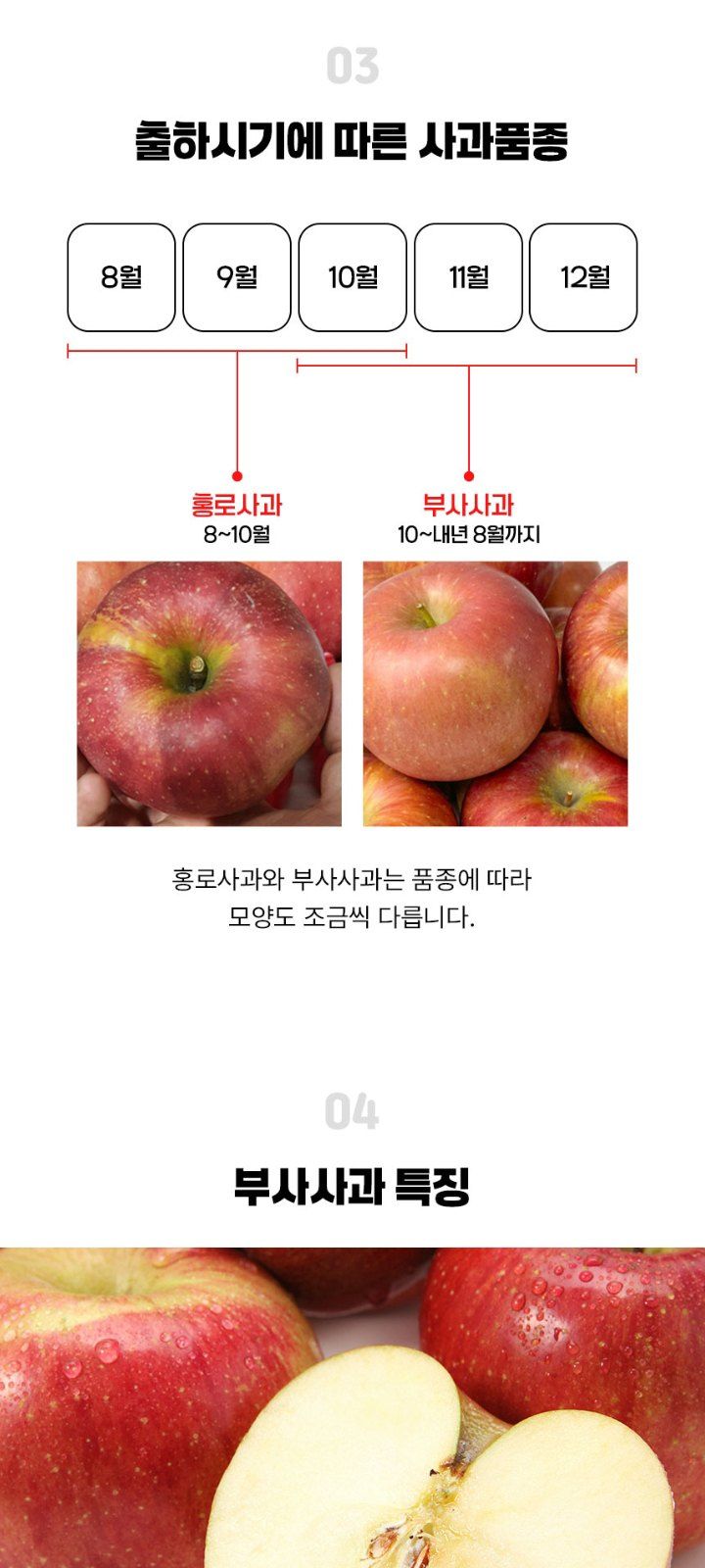 자두14488님의 장터 판매 상품 [경북 사과 10kg 가정용 부사 사과 44-56과] 첨부 사진