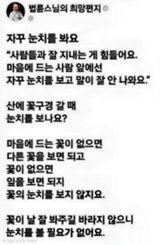(팽나무*공주)님의 자유주제·자유게시판 작성글 사진