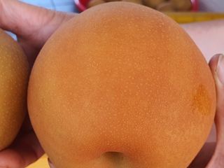 하나라도 소중하게님의 배 · 수확 작성글 사진