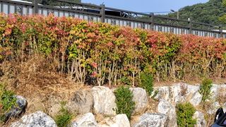 MSG0074님의 자유주제 · 자유게시판 작성글 사진