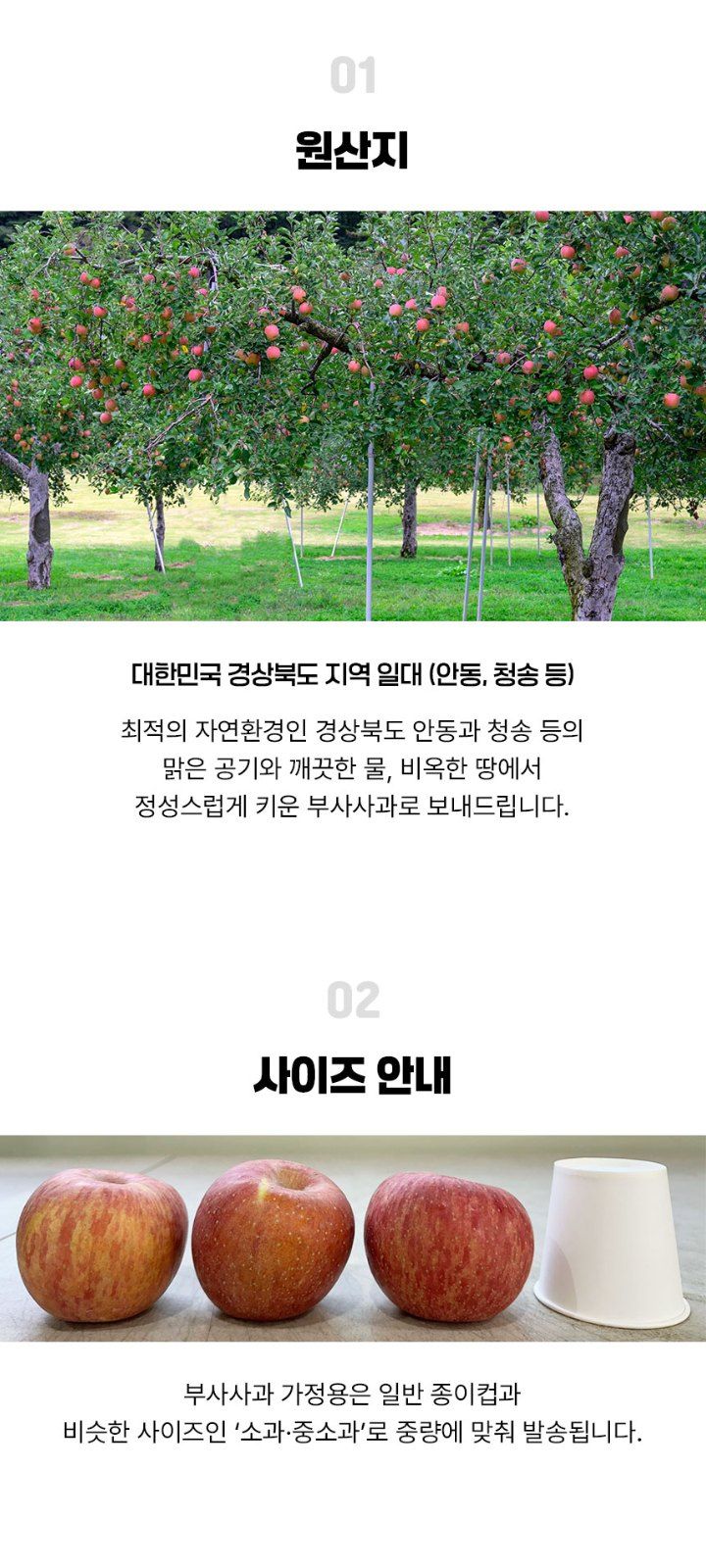 자두14488님의 장터 판매 상품 [경북 사과 10kg 가정용 부사 사과 44-56과] 첨부 사진