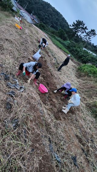 고추24376님의 자유주제 · 자유게시판 작성글 사진