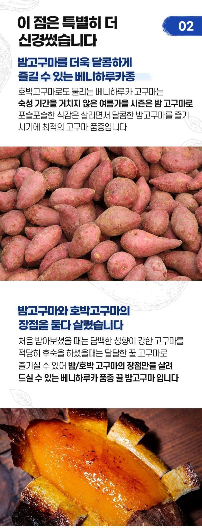 자두14488님의 장터 판매 상품 [ 꿀고구마 10kg 툭대] 첨부 사진