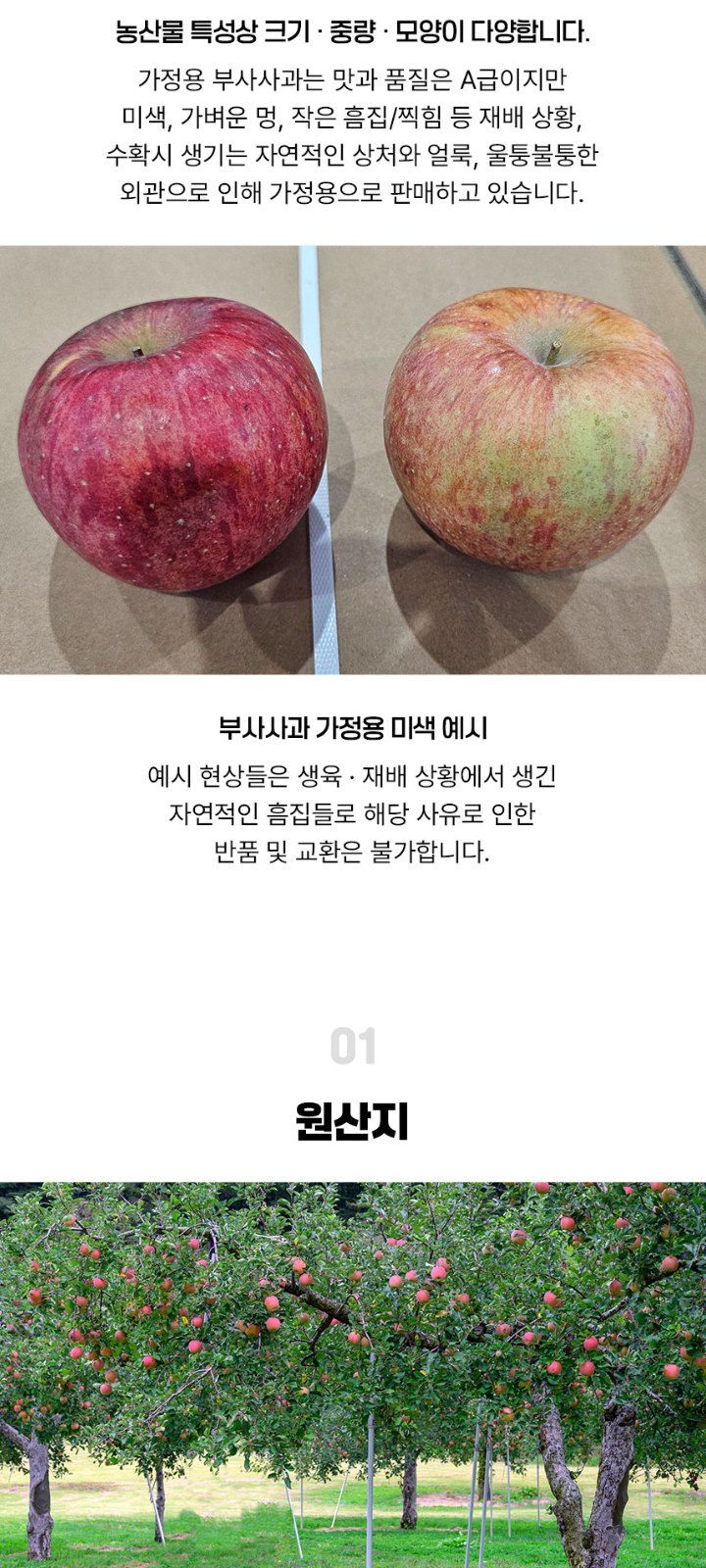 자두14488님의 장터 판매 상품 [경북 사과 10kg 가정용 부사 사과 44-56과] 첨부 사진