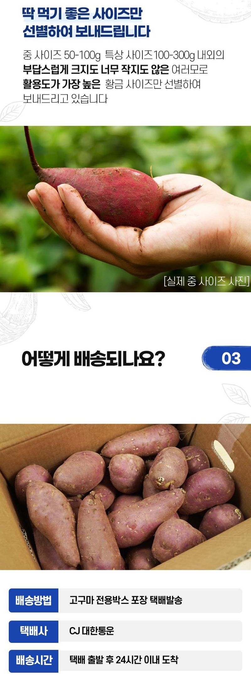 자두14488님의 장터 판매 상품 [ 꿀고구마 10kg 툭대] 첨부 사진
