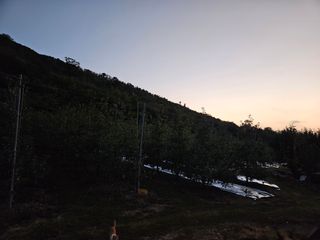 김인태님의 사과 · 일상 작성글 사진