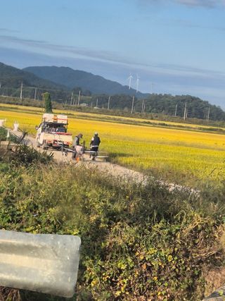 김영진(전남영광)님의 자유주제 · 자유게시판 작성글 사진