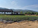 고소희님의 자유주제·자유게시판 작성글 사진