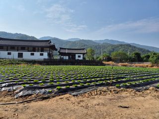고소희님의 자유주제 · 자유게시판 작성글 사진