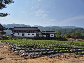 고소희님의 자유주제 · 자유게시판 작성글 사진