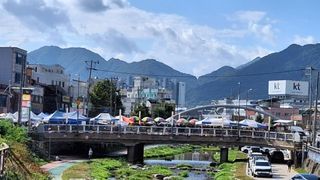 MSG0074님의 자유주제 · 자유게시판 작성글 사진