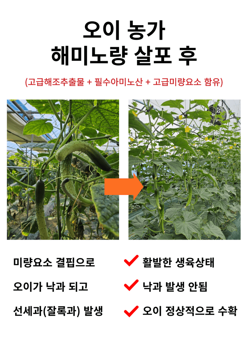 병천아그로(주)법인님의 장터 판매 상품 [코리아아그로 해미노량 500ml 식물영양제 해조추출물 아미노산 대용량 효과빠른 비료] 첨부 사진