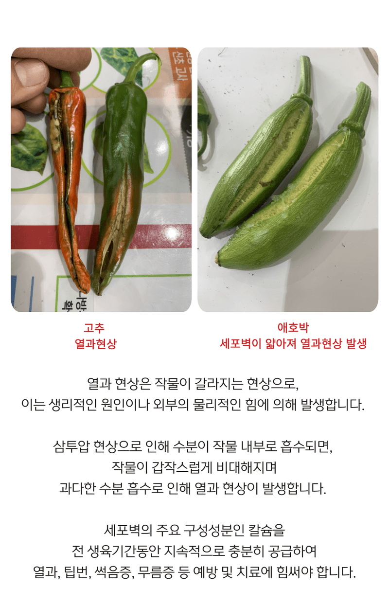 병천아그로(주)법인님의 장터 판매 상품 [코리아아그로 해미노칼슘 500ml, 200ml 식물 칼슘결핍 예방 고함량 액상칼슘 비료 과일 채소 과수용] 첨부 사진