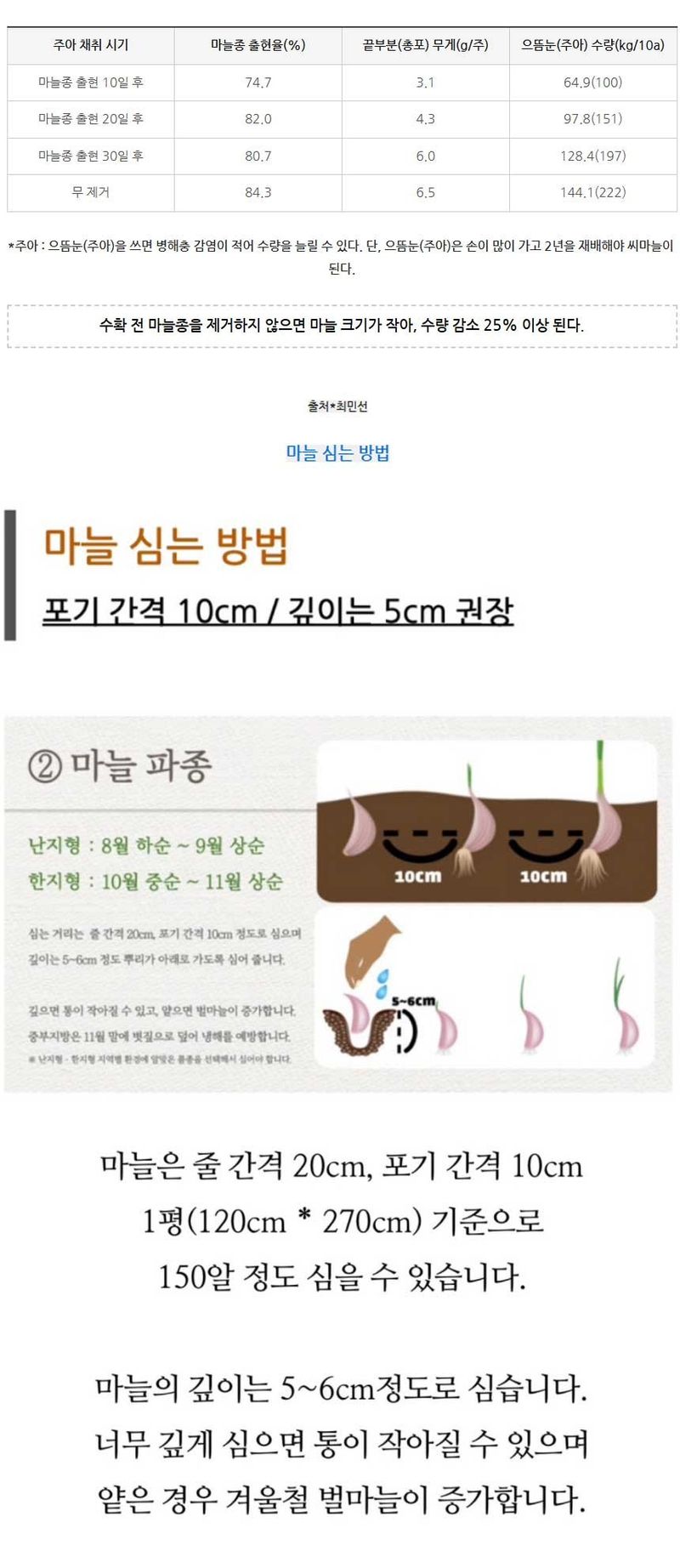 자재스토어님의 장터 판매 상품 [홍산씨마늘 홍산 마늘 종자 난지형 한지형 육쪽 통마늘 씨앗 1kg] 첨부 사진