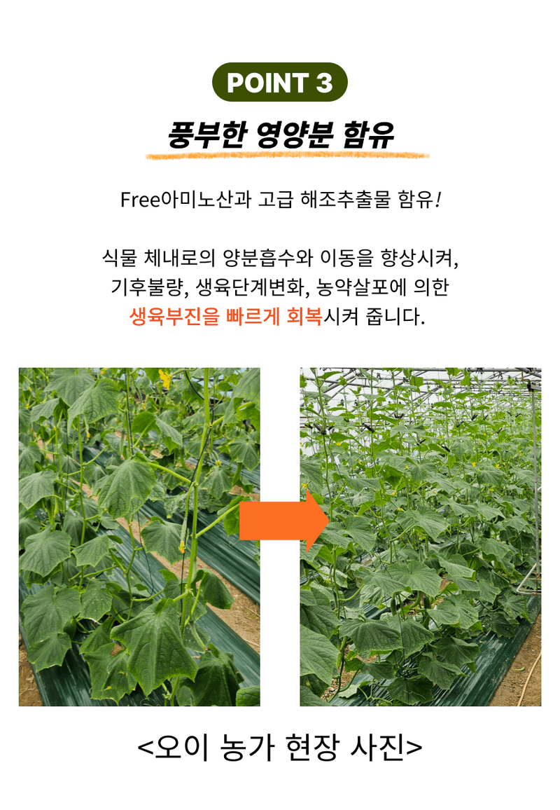병천아그로(주)법인님의 장터 판매 상품 [코리아아그로 해미노량 500ml 식물영양제 해조추출물 아미노산 대용량 효과빠른 비료] 첨부 사진