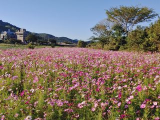 이현상님의 자유주제 · 자유게시판 작성글 사진