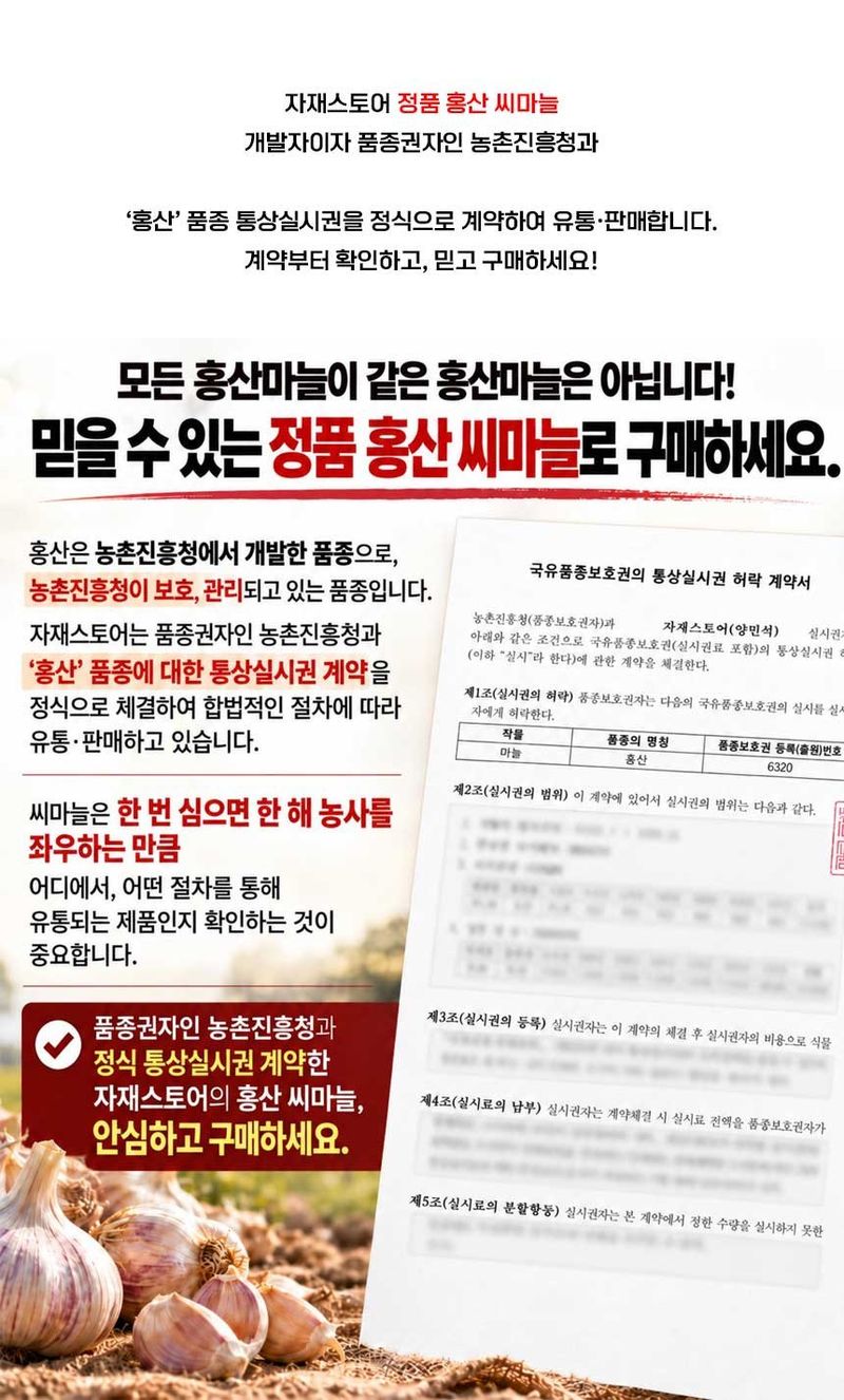 자재스토어님의 장터 판매 상품 [홍산씨마늘 홍산 마늘 종자 난지형 한지형 육쪽 통마늘 씨앗 1kg] 첨부 사진