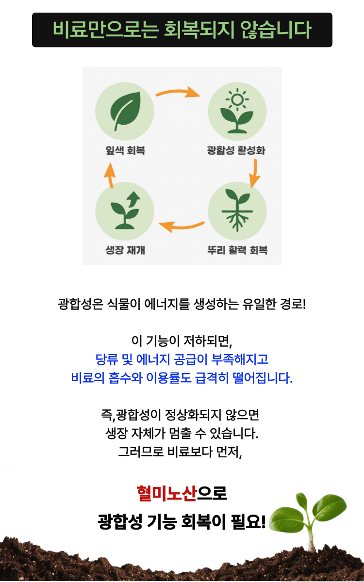 병천아그로(주)법인님의 장터 판매 상품 [혈미노산 10L 작물활력제 아미노산비료 오이 고추 생장촉진제] 첨부 사진