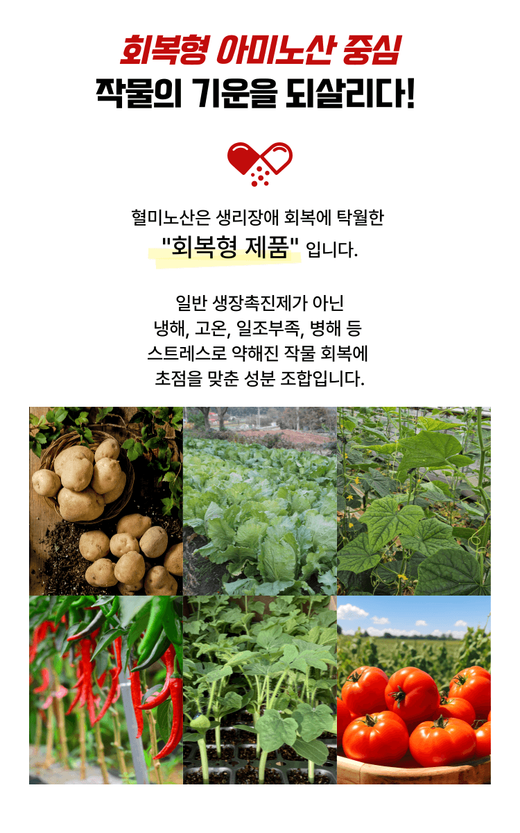 병천아그로(주)법인님의 장터 판매 상품 [혈미노산 10L 작물활력제 아미노산비료 오이 고추 생장촉진제] 첨부 사진