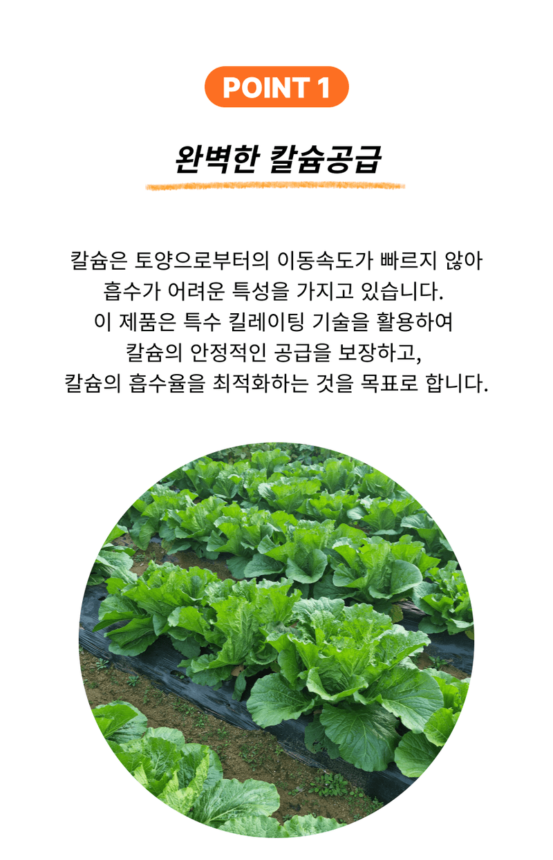 병천아그로(주)법인님의 장터 판매 상품 [코리아아그로 해미노칼슘 500ml, 200ml 식물 칼슘결핍 예방 고함량 액상칼슘 비료 과일 채소 과수용] 첨부 사진