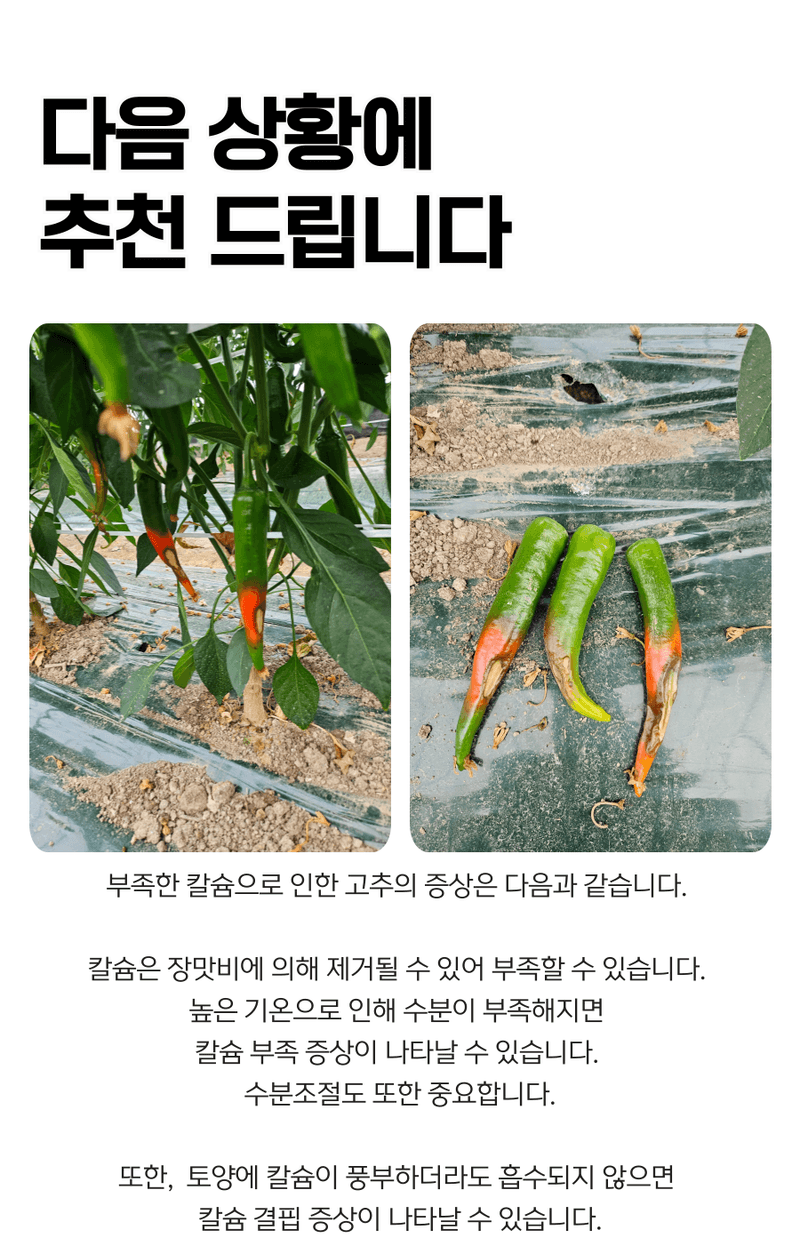 병천아그로(주)법인님의 장터 판매 상품 [코리아아그로 해미노칼슘 200ml 식물영양제 칼슘비료 복합비료 해조추출물 아미노산] 첨부 사진