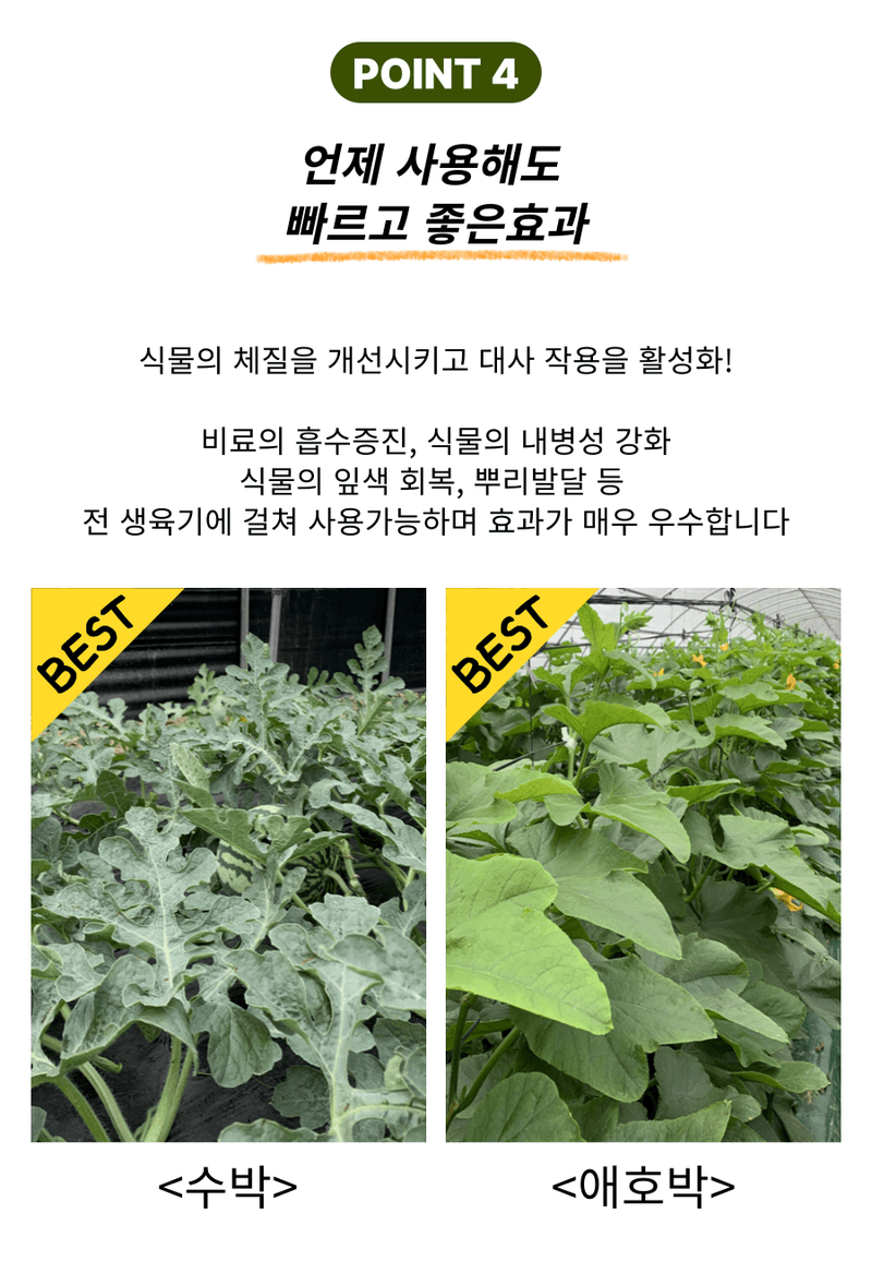 병천아그로(주)법인님의 장터 판매 상품 [코리아아그로 해미노량 500ml 식물영양제 해조추출물 아미노산 대용량 효과빠른 비료] 첨부 사진